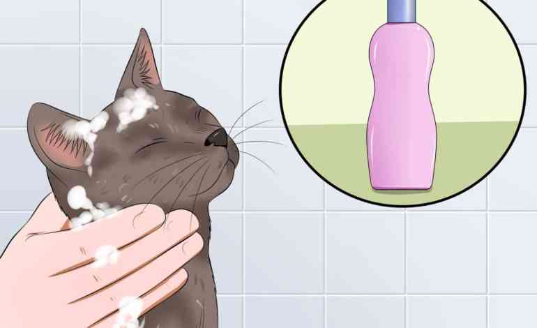 шампунь для котов